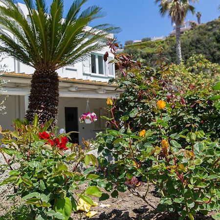Villa Al Mare - Famiglia Calise Forio di Ischia Eksteriør bilde