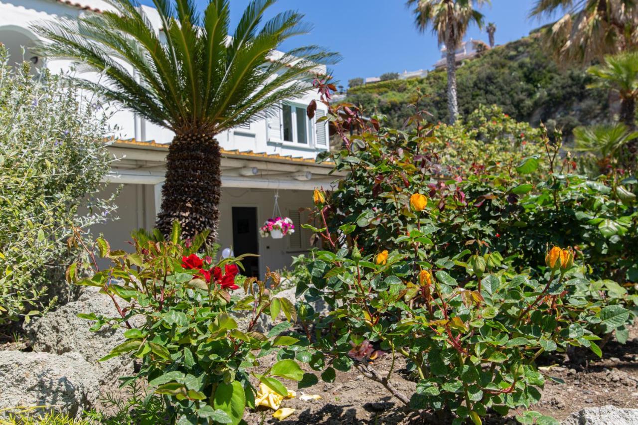 Villa Al Mare - Famiglia Calise Forio di Ischia Eksteriør bilde