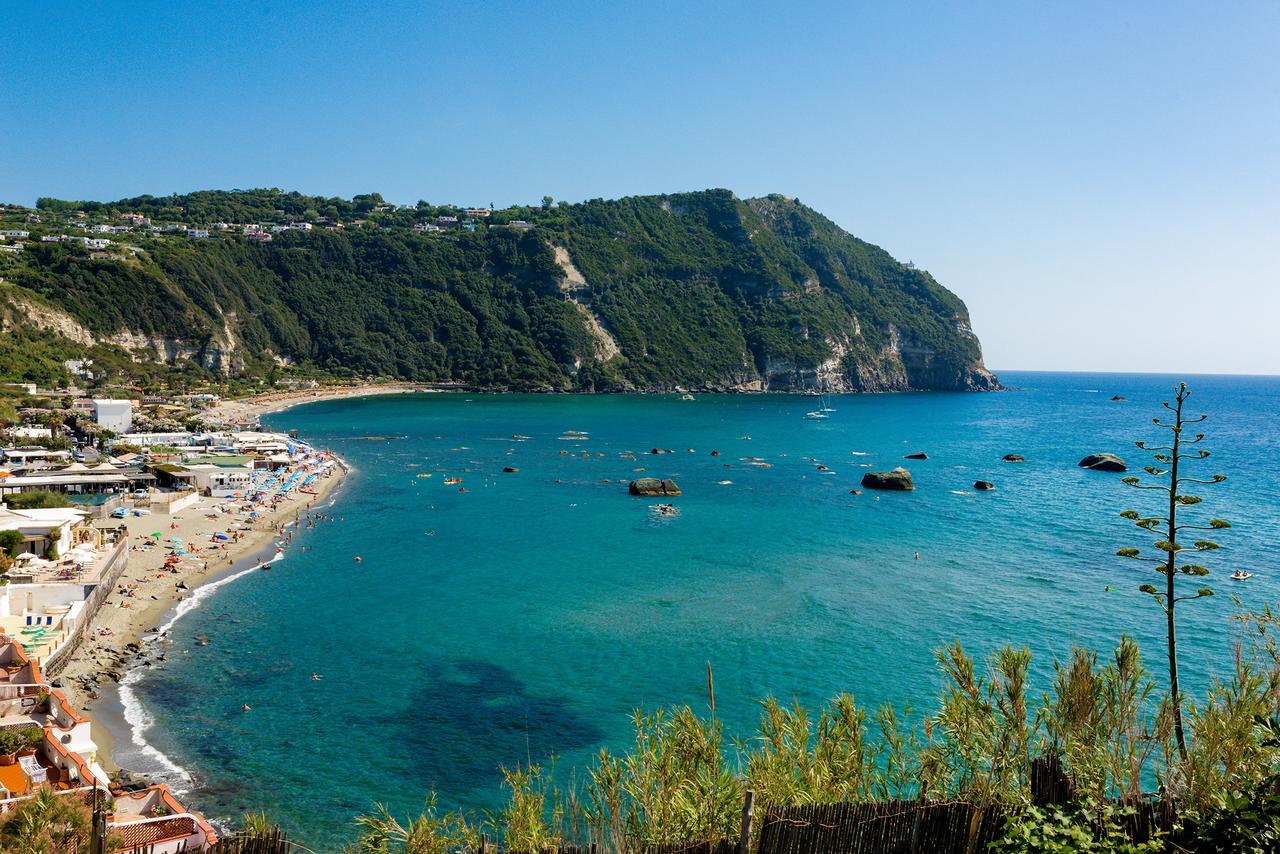 Villa Al Mare - Famiglia Calise Forio di Ischia Eksteriør bilde